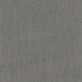 Athlete Charcoal by Carole Designer Fabric Pewter 60% Cotton, 40% Polyester India Passes 50,000 Double Rubs Wyzenbeek Horizontal: 0 and Vertical: 0 55 - Swanky Fabrics -