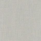 Athlete Sterling by Carole Designer Fabric Pewter 60% Cotton, 40% Polyester India Passes 50,000 Double Rubs Wyzenbeek Horizontal: 0 and Vertical: 0 55 - Swanky Fabrics -