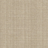 Rock Wall Shale by Carole Designer Fabric Chestnut 83% Polyester, 12% Cotton, 5% Rayon India N/A Horizontal: 0 and Vertical: 0 55 - Swanky Fabrics -