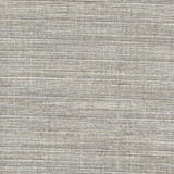 Gear Up Ash by Carole Designer Fabric Pewter 100% Polyester India Passes 30,000 Double Rubs Wyzenbeek Horizontal: 0 and Vertical: 0 5475 - Swanky Fabrics -
