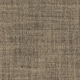 Lived In Granite by Carole Designer Fabric Free Spirit 59% Polyester, 41% Rayon India N/A Horizontal: None and Vertical: 1/2" V 54" - Swanky Fabrics -