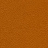 Verve Papaya EVE-025 by Nassimi Designer Fabric See sample 100% Polyurethane USA or Imported Water-based cleaning agents and foam may be used for cleaning. Cleaning by a professional cleaning service is recommended. </p><p>Repeat: Horizontal: and Vertical: 54" - Swanky Fabrics -