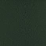 Solstice Seaweed 1006703 by Morbern Designer Fabric See sample 100% Vinyl USA or Imported Water-based cleaning agents and foam may be used for cleaning. Cleaning by a professional cleaning service is recommended. </p><p>Repeat: Horizontal: and Vertical: 54" - Swanky Fabrics - Solstice Seaweed 1006703 by Morbern Designer Fabric See sample 100% Vinyl USA or Imported Water-based cleaning agents and foam may be used for cleaning. Cleaning by a professional cleaning service is recommended. </p><p>Repeat: Horizontal: and Vertical: 54" - Swanky Fabrics -