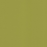 Whisper Sassafras 1009263 by Spradling Designer Fabric See sample 100% Vinyl USA or Imported Water-based cleaning agents and foam may be used for cleaning. Cleaning by a professional cleaning service is recommended. </p><p>Repeat: Horizontal: and Vertical: 54" - Swanky Fabrics -