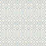 7801-4 Interlachen Emb Cloud by Bassett Mcnab Designer Fabric BASSETT MCNAB ORIGINS 100%LIN INDIA Horizontal: 6.625 and Vertical: 12.5 53 in - Swanky Fabrics -