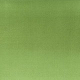 Tinker 2 Basil by Stout Designer Fabric RAINBOW LIBRARY SPRING/EVERGREEN 100%POL INDONESIA FLAME RETARDANT-N.F.P.A. 260A CLASS 1 CATB 117-2013 WYZENBEEK 100 000 DOUBLE RUB WEAR TEST (HEAVY DUTY) Horizontal: 0 and Vertical: 0 54 in - Swanky Fabrics - Tinker 2 Basil by Stout Designer Fabric RAINBOW LIBRARY SPRING/EVERGREEN 100%POL INDONESIA FLAME RETARDANT-N.F.P.A. 260A CLASS 1 CATB 117-2013 WYZENBEEK 100 000 DOUBLE RUB WEAR TEST (HEAVY DUTY) Horizontal: 0 and Vertical: 0 54 in - Swanky Fabrics -