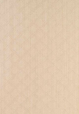 Villis Strie' Pearl 60305 by Schumacher Fabric Schumacher Fabric Villis Strie' Pearl 60305Fabric COTTON 53% UNITED STATES OF AMERICA </p><p>Repeat: H: HORZ. 2" (5CM) , V: VERT. 2" (5CM) 54 - Fabric Carolina -