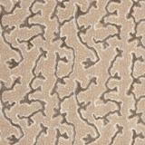 Corail Velvet Champagne 77132 by Schumacher Designer Fabric TIMOTHY CORRIGAN COTTON 100% BELGIUM </p><p>Repeat: Horizontal: 6 5/8" (17CM) and Vertical: 6 3/4" (17CM) 54 - Swanky Fabrics - Corail Velvet Champagne 77132 by Schumacher Designer Fabric TIMOTHY CORRIGAN COTTON 100% BELGIUM </p><p>Repeat: Horizontal: 6 5/8" (17CM) and Vertical: 6 3/4" (17CM) 54 - Swanky Fabrics -