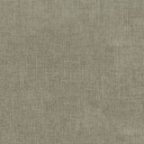 Remy Taupe 409422 by Performance Designer Fabric - 90%Polyester 10%Rayon CHINA 51000 Horizontal: 0 and Vertical: 0 54 - Swanky Fabrics -