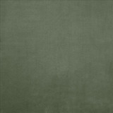 Knockout Pine by Kasmir Designer Fabric 5177 100% Polyester
 CHINA </p><p>Repeat: Horizontal: N/A and Vertical: N/A 54 - Swanky Fabrics -