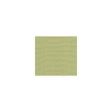 Watermill Linen Lichen by Lee Jofa Designer Fabric COLOUR COMPLEMENTS II LINEN - 100% China HEAVY Horizontal: and Vertical: 55 - Swanky Fabrics -