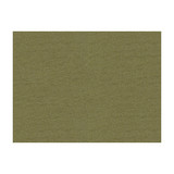 Bank Herb by Lee Jofa Designer Fabric JAMES HUNIFORD EXPRESS MERCERIZED COTTON - 53%;COTTON - 33%;RAYON - 14% United States HEAVY Horizontal: 0.75 and Vertical: 1 56.5 - Swanky Fabrics -