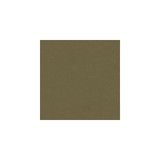 Iva Mushroom by Kravet Design Fabric Kravet Design Fabric Iva MushroomFabric KATE SPADE CLASSICS COTTON - 100% Netherlands </p><p>Repeat: H: , V: 54 - Fabric Carolina -