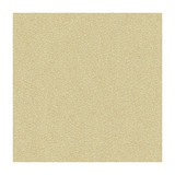 Jatoba Oyster by Kravet Design Designer Fabric CANDICE OLSON COLLECTION POLYESTER - 100% India HEAVY Horizontal: 4.5 and Vertical: 2.5 54 - Swanky Fabrics -