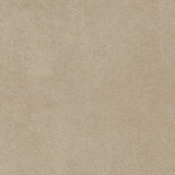 Madison Velvet Porcini by Kravet Contract Designer Fabric POLYESTER - 100% Turkey HEAVY Horizontal: and Vertical: 55 - Swanky Fabrics -
