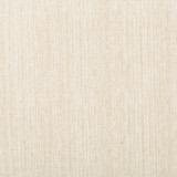 4665-1 by Kravet Basics Designer Fabric POLYESTER - 83%;RAYON - 12%;COTTON - 5% India HEAVY Horizontal: and Vertical: 55 - Swanky Fabrics -