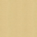 Beautymark Sand by Kravet Couture Designer Fabric NYLON - 100% Japan HEAVY Horizontal: 4 and Vertical: 10 54 - Swanky Fabrics -