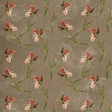 Baker Iris Mole by G P & J Baker Designer Fabric SIGNATURE VELVETS VISCOSE - 55%;COTTON - 45% Italy Horizontal: 27.58 and Vertical: 23.246 55.16 - Swanky Fabrics -