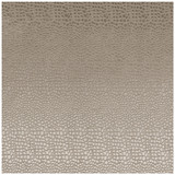 Pulse Ash by Clarke And Clarke Designer Fabric CLARKE & CLARKE TEMPO VELVETS POLYESTER - 100% China HEAVY Horizontal: 2.56 and Vertical: 8.66 56 - Swanky Fabrics -