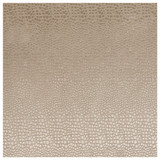 Pulse Sand by Clarke And Clarke Designer Fabric CLARKE & CLARKE TEMPO VELVETS POLYESTER - 100% China HEAVY Horizontal: 2.56 and Vertical: 8.66 56 - Swanky Fabrics -