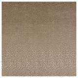 Pulse Taupe by Clarke And Clarke Designer Fabric CLARKE & CLARKE TEMPO VELVETS POLYESTER - 100% China HEAVY Horizontal: 2.56 and Vertical: 8.66 56 - Swanky Fabrics -
