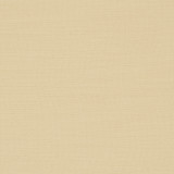 Nantucket Butter by Clarke And Clarke Designer Fabric CLARKE & CLARKE NANTUCKET COTTON - 100% India HEAVY Horizontal: 0 and Vertical: 0 55 - Swanky Fabrics -