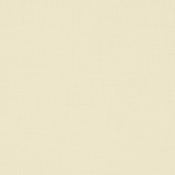 Nantucket Cream by Clarke And Clarke Designer Fabric CLARKE & CLARKE NANTUCKET COTTON - 100% India HEAVY Horizontal: 0 and Vertical: 0 55 - Swanky Fabrics -