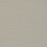 Nantucket Lichen by Clarke And Clarke Designer Fabric CLARKE & CLARKE NANTUCKET COTTON - 100% India HEAVY Horizontal: 0 and Vertical: 0 55 - Swanky Fabrics -