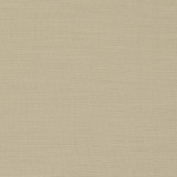 Nantucket Sesame by Clarke And Clarke Designer Fabric CLARKE & CLARKE NANTUCKET COTTON - 100% India HEAVY Horizontal: 0 and Vertical: 0 55 - Swanky Fabrics -