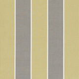 Chatburn Citrus by Clarke And Clarke Designer Fabric CLARKE & CLARKE RIBBLE VALLEY COTTON - 100% India MEDIUM Horizontal: 6.89 and Vertical: 0 55 - Swanky Fabrics -