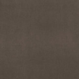 Alvar Beaver by Clarke And Clarke Designer Fabric CLARKE & CLARKE ALVAR POLYESTER - 100% China HEAVY Horizontal: 0 and Vertical: 0 57 - Swanky Fabrics -