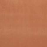 Alvar Tamarind by Clarke And Clarke Designer Fabric CLARKE & CLARKE ALVAR 2 POLYESTER - 100% China HEAVY Horizontal: 0 and Vertical: 0 56.75 - Swanky Fabrics -