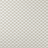 Reggio Ivory by Clarke And Clarke Designer Fabric CLARKE & CLARKE IMPERIALE India Horizontal: 1.46 and Vertical: 1.26 55 - Swanky Fabrics -