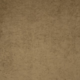 Regal Antique by Clarke And Clarke Designer Fabric CLARKE & CLARKE REGAL TREVIRA - 100% Turkey HEAVY Horizontal: 0 and Vertical: 0 55 - Swanky Fabrics -