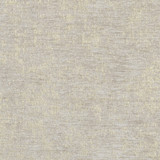 Shimmer Gold by Clarke And Clarke Designer Fabric CLARKE & CLARKE LUSSO POLYESTER - 100% India HEAVY Horizontal: 13.58 and Vertical: 28.35 54 - Swanky Fabrics -