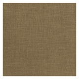 Albany Moss by Clarke And Clarke Designer Fabric CLARKE & CLARKE ALBANY & MORAY POLYESTER - 78%;COTTON - 22% India HEAVY Horizontal: 0 and Vertical: 0 55 - Swanky Fabrics -