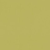 Renzo Citrus by Clarke And Clarke Designer Fabric CLARKE & CLARKE RENZO POLYESTER - 100% China HEAVY Horizontal: 0 and Vertical: 0 55 - Swanky Fabrics -