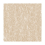 Rainfall Spice by Clarke And Clarke Designer Fabric CLARKE & CLARKE ROOF GARDEN COTTON - 100% Turkey MEDIUM Horizontal: 13.58 and Vertical: 12.4 54 - Swanky Fabrics -