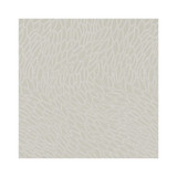 Corallino Champagne by Clarke And Clarke Designer Fabric CLARKE & CLARKE LUSSO 2 COTTON - 53%;POLYESTER - 47% India MEDIUM Horizontal: 9.17 and Vertical: 20.67 54 - Swanky Fabrics -