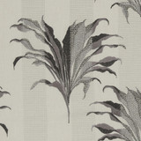Palma Charcoal by Clarke And Clarke Designer Fabric CLARKE & CLARKE EXOTICA POLYESTER - 52%;COTTON - 48% India Horizontal: 17 and Vertical: 12.875 54 - Swanky Fabrics -