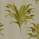 Palma Citron by Clarke And Clarke Designer Fabric CLARKE & CLARKE EXOTICA POLYESTER - 52%;COTTON - 48% India Horizontal: 17 and Vertical: 12.875 54 - Swanky Fabrics -