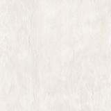 Mystic Ivory by Clarke And Clarke Designer Fabric CLARKE & CLARKE DIFFUSION POLYESTER - 58%;COTTON - 42% India Horizontal: 9.125 and Vertical: 9.25 54.75 - Swanky Fabrics -