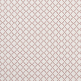 Ariyana Blush by Clarke And Clarke Designer Fabric CLARKE & CLARKE PRINCE OF PERSIA COTTON - 61%;POLYESTER - 24%;VISCOSE - 15% India Horizontal: 1.625 and Vertical: 1.625 50.5 - Swanky Fabrics -