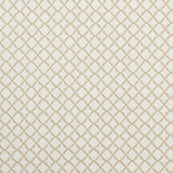 Ariyana Natural by Clarke And Clarke Designer Fabric CLARKE & CLARKE PRINCE OF PERSIA COTTON - 61%;POLYESTER - 24%;VISCOSE - 15% India Horizontal: 1.625 and Vertical: 1.625 50.5 - Swanky Fabrics -