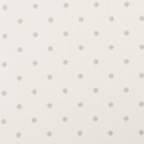 Esta Champagne/Ivory by Clarke And Clarke Designer Fabric CLARKE & CLARKE PRINCE OF PERSIA COTTON - 96%;POLYESTER - 4% India Horizontal: 5 and Vertical: 4.625 50 - Swanky Fabrics -