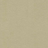 Litestar Sand by Kravet Design Fabric Kravet Design Fabric Litestar SandFabric NYLON - 100% United States </p><p>Repeat: H: 0, V: 0 54 - Fabric Carolina -