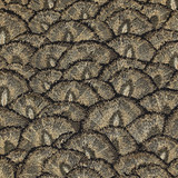 Proud 5 by Kravet Design Designer Fabric LIZZO COTTON - 58%;VISCOSE - 42% Spain MEDIUM Horizontal: 12 and Vertical: 10.5 53 - Swanky Fabrics -