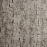 Tree Bark Pewter by Clarke And Clarke Designer Wallcovering CLARKE & CLARKE REFLECTIONS WOOD PULP - 74%;BINDER - 13%;POLYESTER - 13% United Kingdom Horizontal: 20.875 and Vertical: 10.5 20.875 - Swanky Fabrics -