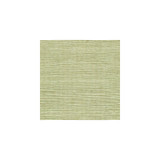 Sisal Fern by Winfield Thybony Wallcovering Winfield Thybony Wallcovering Sisal FernWallcovering WINFIELD THYBONY SIMPLY SISAL PAPER - 100% China </p><p>Repeat: H: , V: 36 - Fabric Carolina -