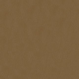Miami 608 Sandstone by ABBEYSHEA Designer Fabric N/A 100% Polyester China </p><p>Repeat: Horizontal: 0.3" (0.8 cm) Across the Roll and Vertical: 0.3" (0.8 cm) Up the Roll 57" (144 cm) - Swanky Fabrics -